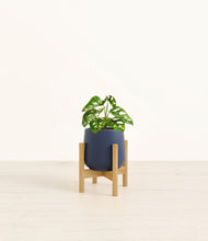 Load image into Gallery viewer, Deep Navy stand:bamboo
