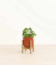 Load image into Gallery viewer, Glossy Red stand:bamboo
