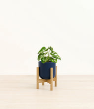 Load image into Gallery viewer, Twilight Blue stand:bamboo
