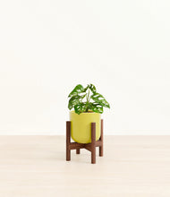 Load image into Gallery viewer, Key Lime Yellow stand:walnut
