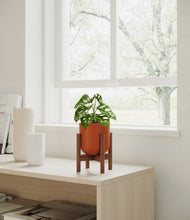 Load image into Gallery viewer, Earth Red stand:walnut
