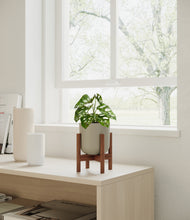 Load image into Gallery viewer, Sage Green stand:walnut
