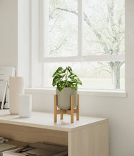 Load image into Gallery viewer, Sage Green stand:bamboo
