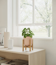 Load image into Gallery viewer, Sandy Pink stand:bamboo
