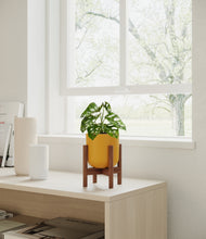 Load image into Gallery viewer, Sunset Orange stand:walnut
