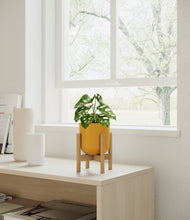 Load image into Gallery viewer, Sunset Orange stand:bamboo
