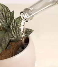 Load image into Gallery viewer, Desert Brown stand:all
