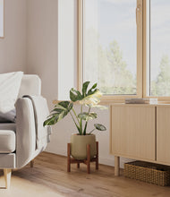 Load image into Gallery viewer, Olive stand:walnut

