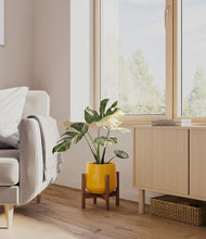 Load image into Gallery viewer, Mustard stand:walnut
