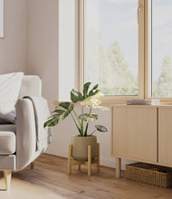 Load image into Gallery viewer, Olive stand:bamboo
