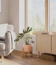 Load image into Gallery viewer, Calm Rose stand:bamboo

