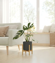 Load image into Gallery viewer, Dark Olive stand:bamboo
