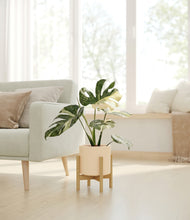 Load image into Gallery viewer, Cream stand:bamboo
