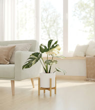Load image into Gallery viewer, White stand:bamboo
