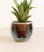 Load image into Gallery viewer, Desert Brown stand:all
