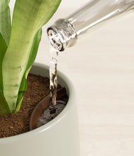 Load image into Gallery viewer, Turquoise stand:all
