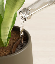 Load image into Gallery viewer, Olive stand:all
