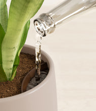 Load image into Gallery viewer, Eternal Gray stand:all
