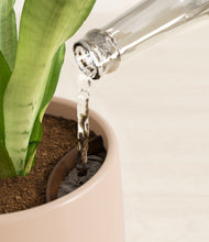 Load image into Gallery viewer, Gentle Pink stand:all
