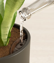 Load image into Gallery viewer, Dark Olive stand:all
