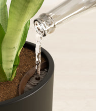 Load image into Gallery viewer, Black stand:all
