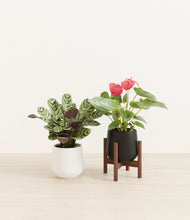 Load image into Gallery viewer, Orca stand:one_stand
