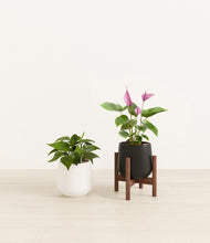 Load image into Gallery viewer, Orca stand:one_stand
