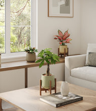Load image into Gallery viewer, Earthy stand:two_stands
