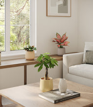 Load image into Gallery viewer, Sandy
