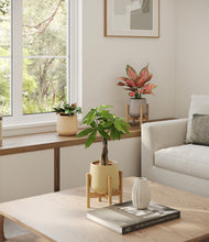 Load image into Gallery viewer, Sandy stand:two_stands
