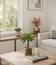 Load image into Gallery viewer, Woodland stand:one_stand
