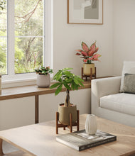 Load image into Gallery viewer, Woodland stand:two_stands

