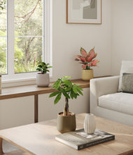 Load image into Gallery viewer, Woodland
