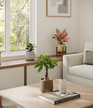 Load image into Gallery viewer, Woodland stand:one_stand
