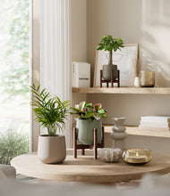 Load image into Gallery viewer, Earthy stand:two_stands
