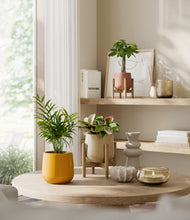 Load image into Gallery viewer, Evening Sky stand:two_stands
