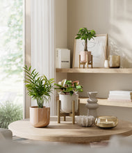 Load image into Gallery viewer, Peach Blossom stand:two_stands
