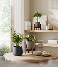 Load image into Gallery viewer, Winding River stand:two_stands
