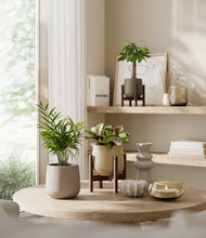 Load image into Gallery viewer, Woodland stand:two_stands
