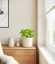 Load image into Gallery viewer, Cream
