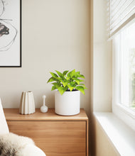 Load image into Gallery viewer, White
