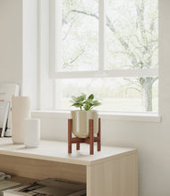 Load image into Gallery viewer, Sage Green stand:walnut
