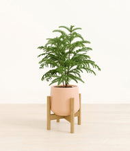 Load image into Gallery viewer, Gentle Pink stand:bamboo
