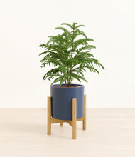 Load image into Gallery viewer, Deep Navy stand:bamboo
