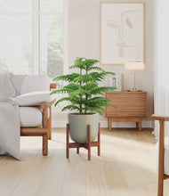 Load image into Gallery viewer, Sage Green stand:walnut
