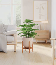 Load image into Gallery viewer, Sandy Pink stand:bamboo
