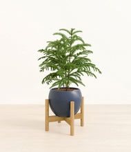 Load image into Gallery viewer, Deep Navy stand:bamboo
