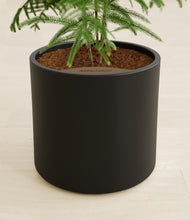 Load image into Gallery viewer, Black stand:all
