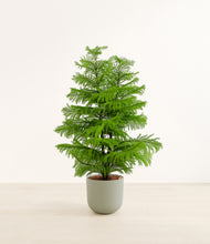 Load image into Gallery viewer, Sage Green*****Profile
