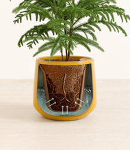 Load image into Gallery viewer, Mustard stand:all
